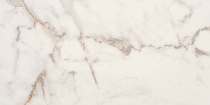 Ami Ivory 12×24 Field Tile Matte Rectified