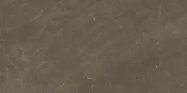 Portugal Madiera Reserve (Warm Dark) 12×24 Field Tile Matte Rectified