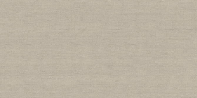 Fray X Clay 24×48 Field Tile Rectified