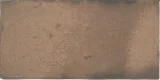 Roots Rust 9×17 Field Tile Matte