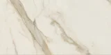 Maggiore Ivory 24×48 Field Tile Matte Rectified