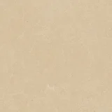 Argent 2.0 Winter Garden 12×12 Field Tile Rectified