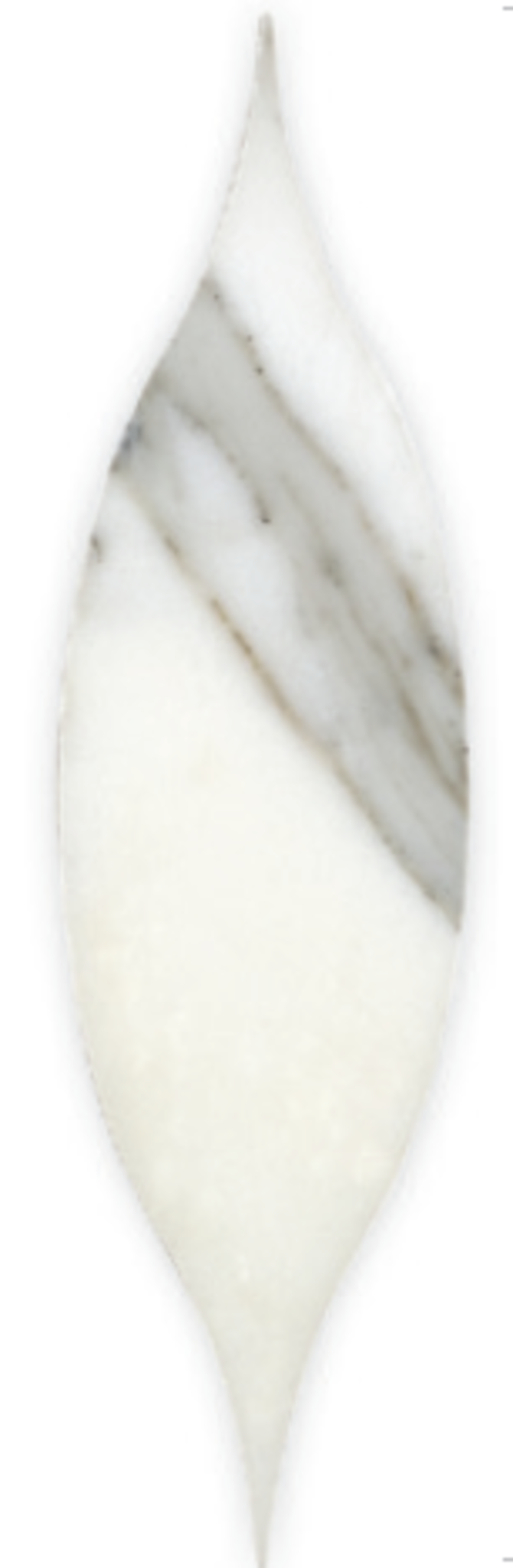 Acurve Calacatta Gold Honed 2×9 Delicato Vibe