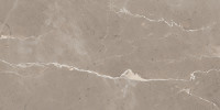 Absolute Taupe 12×24 Field Tile
