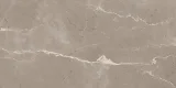 Absolute Taupe 12×24 Field Tile