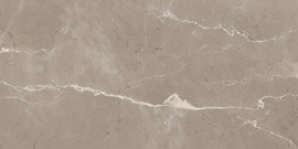 Absolute Taupe 12×24 Field Tile