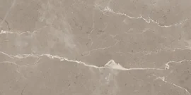 Absolute Taupe 12×24 Field Tile Absolute Taupe 12×24 Field Tile