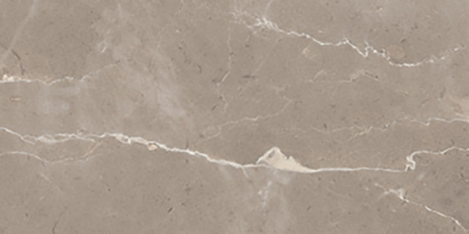 Absolute Taupe 12×24 Field Tile