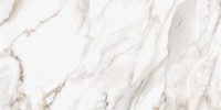 Majesto Calacatta Oro 24×48 Field Tile Polished Rectified