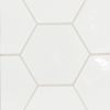 Andalucia Blanco 9×10 Hexagon Field Tile Glossy
