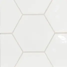 Andalucia Blanco 9×10 Hexagon Field Tile Glossy