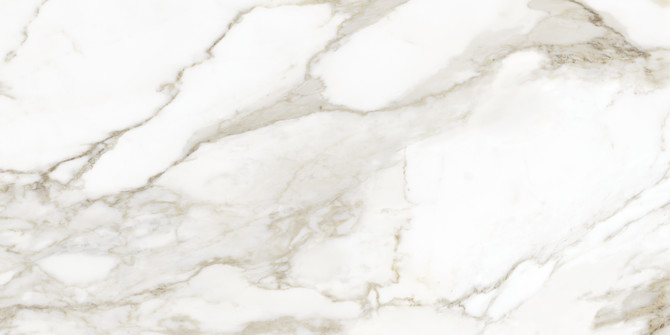 La Marca Calacatta Paonazzo 24×48 Field Tile Honed Rectified