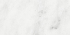 Bianco Venatino 3×6 Field Tile Honed
