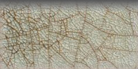Euphoria 2×4 Bullnose (4″ Glazed Edge)