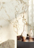 Luce Oro 24x48