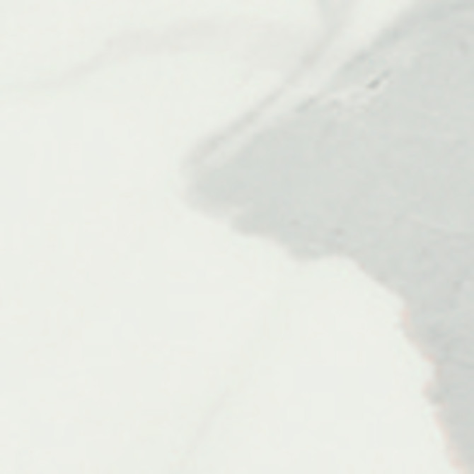 Anima Statuario Venato 2×2 Tozzetto Decorative Tile Polished Rectified