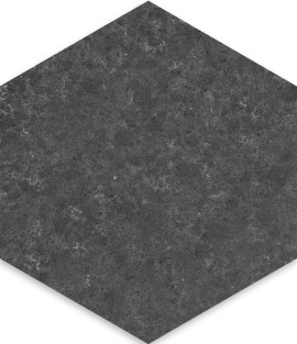 Basalt Black 10″ Hexagon Field Tile Brushed