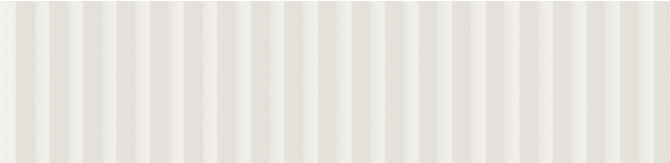 Twin Peaks Snow 3×12 Medium Decorative Tile