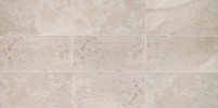Rochester Beige 12×24 Field Tile Matte