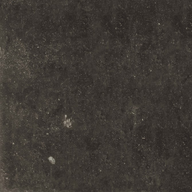 Belgica 32×32 Field Tile Matte Rectified