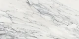 Majesto Calacatta Corchia 12×24 Field Tile Honed Rectified
