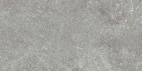 Pike Place Light Gray 4×8 Field Tile