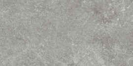 Pike Place Light Gray 4×8 Field Tile