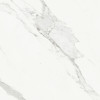 Majesto Calacatta Borghini 36×36 Field Tile Polished Rectified