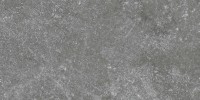 Pike Place Dark Gray 4×8 Field Tile