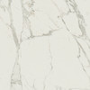 Anima Calacatta Oro 3×24 Bullnose Polished Rectified