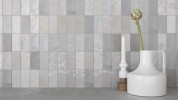 Fez Grey 2.5x5 Gloss and Grey 2.5x5 Matte
