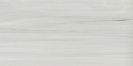 Beyond Dolomite Gray 12×24 Field Tile Matte Rectified