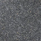 La Terrazza Zedonia 16×16 Field Tile Honed