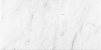 Bianco Venatino 12×24 Field Tile Polished