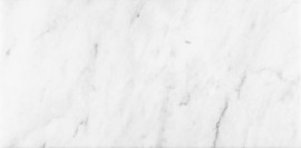 Bianco Venatino 12×24 Field Tile Honed