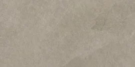 Albany Tan 12×24 Field Tile Rectified