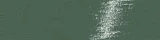 Playful Pine 6×24 Field Tile Glossy Playful Pine 6×24 Field Tile Glossy