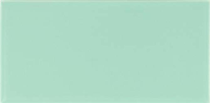 Color Complements Rain 4×4 Surface Bullnose Matte