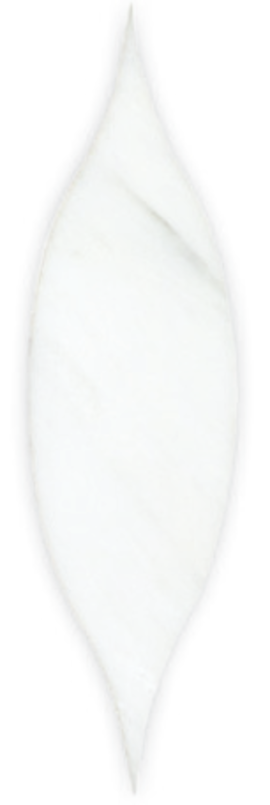 Acurve Asian Carrara Ultra Premium Honed 2×9 Delicato Vibe Acurve Asian Carrara Ultra Premium Honed 2×9 Delicato Vibe