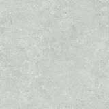 Kolossos Gray 20×20 Field Tile Matte