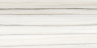 Caspar Zebrino 12×24 Field Tile Matte Rectified