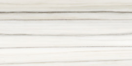 Caspar Zebrino 12×24 Field Tile Matte Rectified