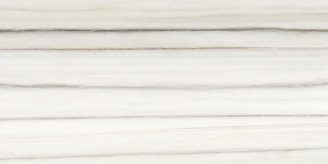 Caspar Zebrino 12×24 Field Tile Matte Rectified