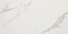 Eterna White 24×48 Field Tile Matte Rectified