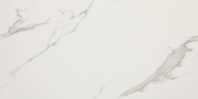 Eterna White 24×48 Field Tile Polished Rectified
