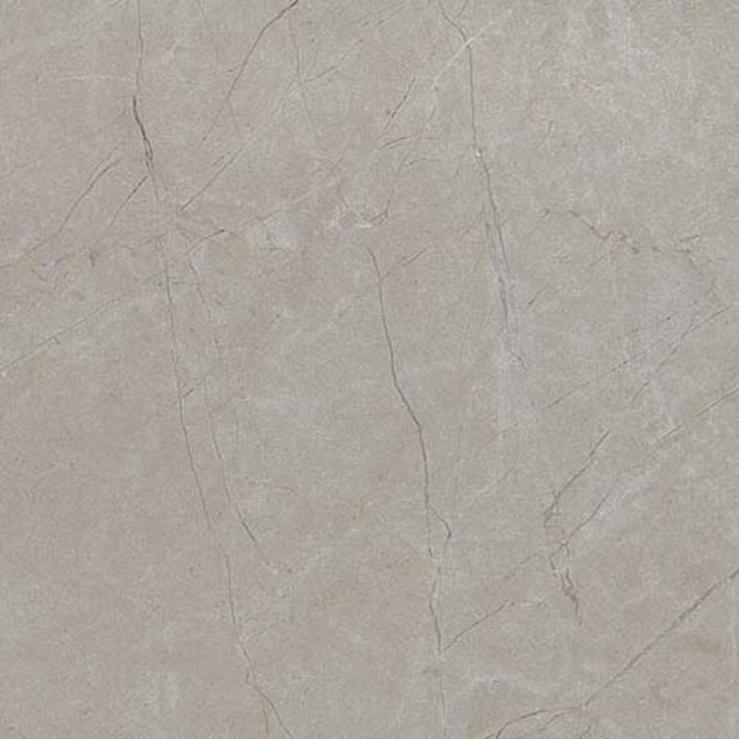 Classentino Marble Coliseum Gray 24X24 Field Tile Matte Rectified