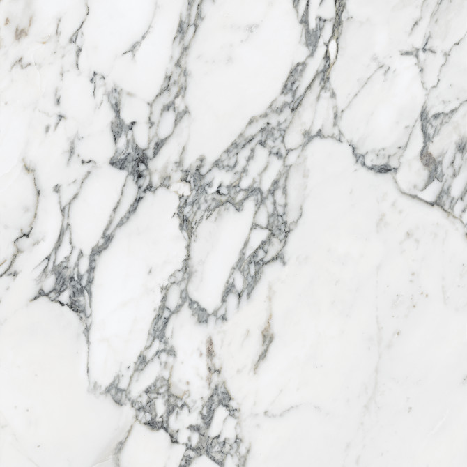 Majesto Arabescato Corchia 24×24 Field Tile Polished Rectified