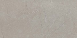 Alta Gray 12×24 Field Tile Matte Rectified