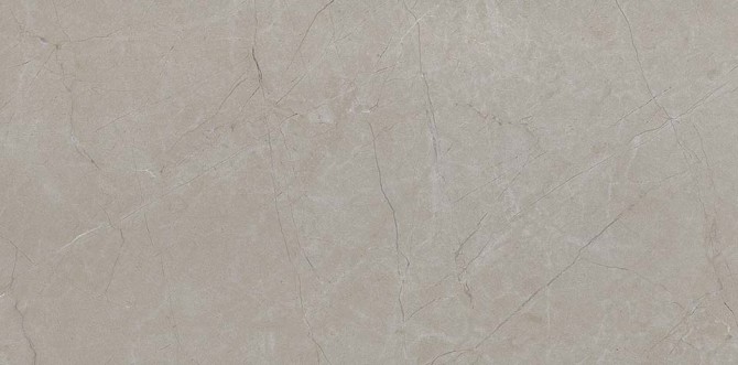 Alta Gray 12×24 Field Tile Matte Rectified