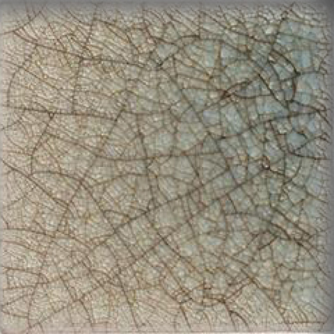 Color Variation Image